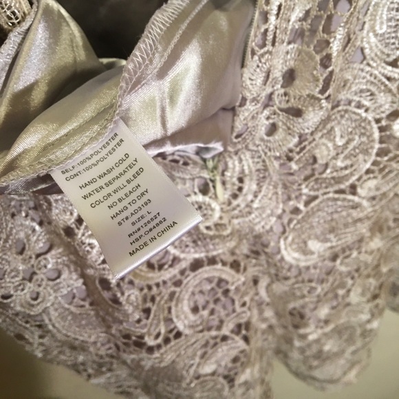 Silver Lace Dress - Picture 7 of 7